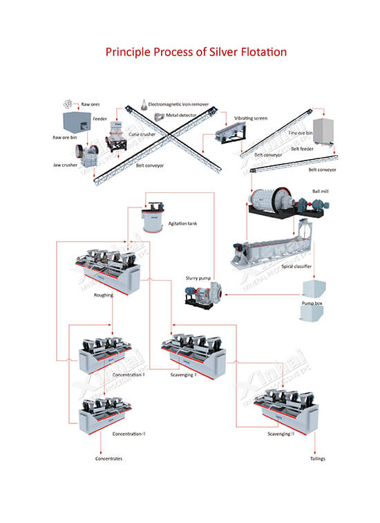 Silver Flotation Process - Xinhai 3d diagram of manganese 
