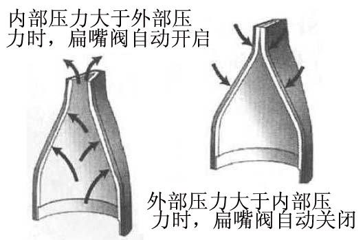 Rubber check valve