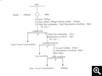  Reagent dosage test 