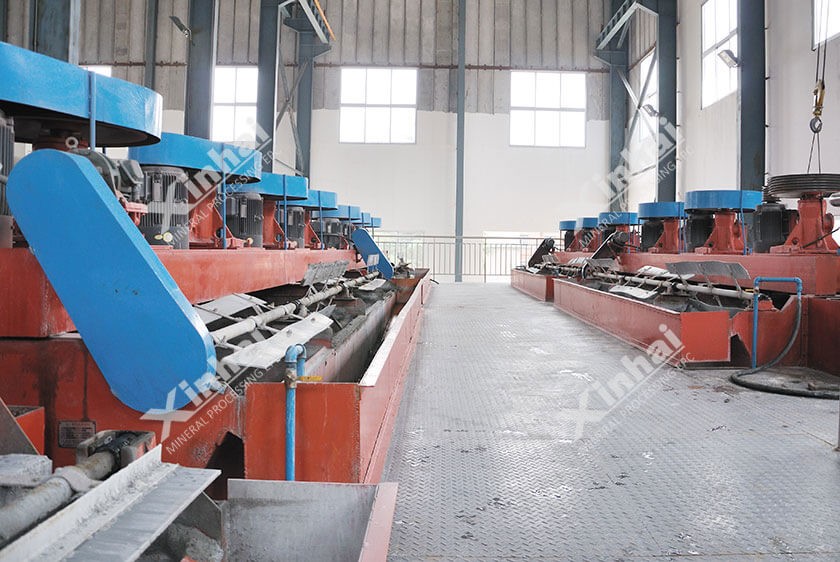 Shandong 1,000t/d Gold Mineral Flotation Plant