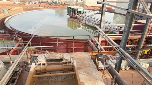 Guinea 6,000t/d Gold Mineral Processing Plant