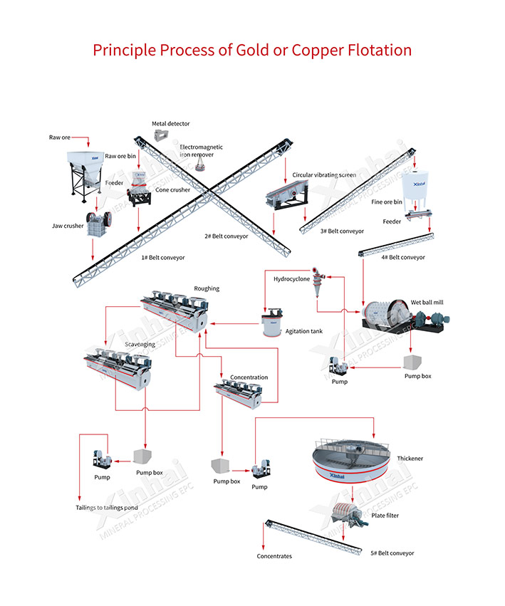 Gold Flotation Production Line