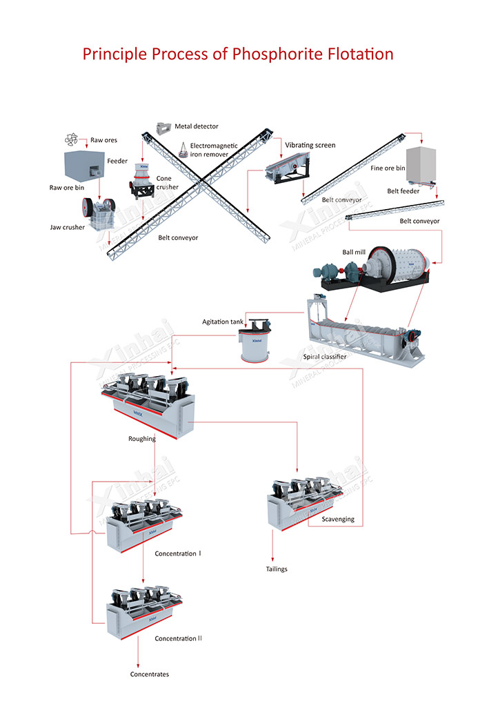 Phosphorite（Phosphate Rock） Flotation Equipment Production Line