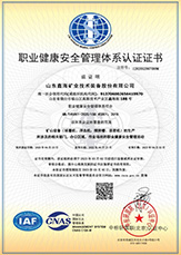 Shandong Xinhai Mining Advantages