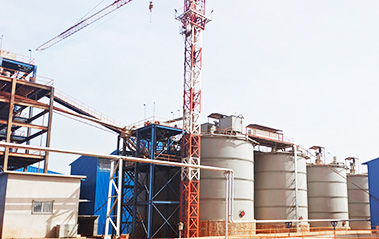 Guinea 3000 TPD Gold Carbon-In-Pulp Plant Project Operation