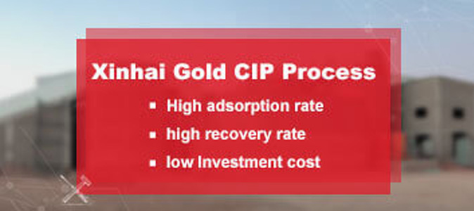 Xinhai Gold CIP Process