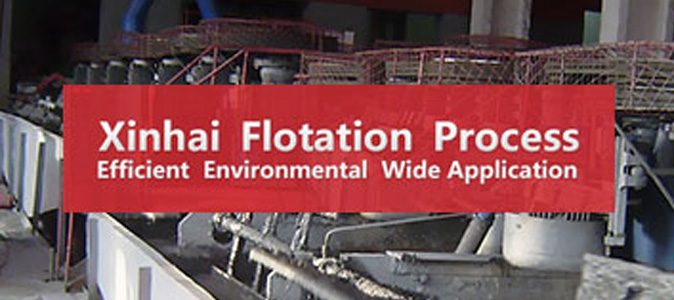 Xinhai Flotation Process